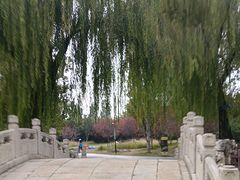 -丰台花园