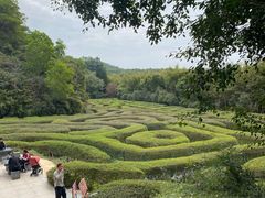 -大屏嶂森林公园