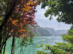 -三峡人家风景区