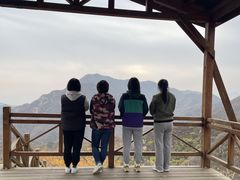 -大岭沟猕猴桃谷风景区