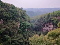 -川西竹海景区