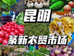 -大观篆新农贸市场