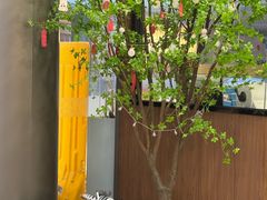 -天使口腔门诊部(上海店)