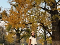 -千年银杏谷文化旅游区