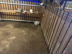 -廊坊固安福朋喜来登酒店