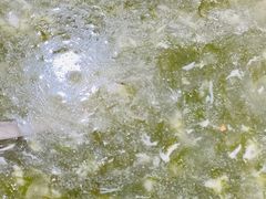 -梅子大排档