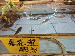 -御满江海鲜酒家(洛溪新城店)