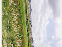 -光明小镇欢乐田园