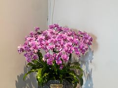 -上海先进东风标致雪铁龙4S店(青浦店)