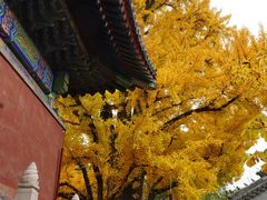 -红螺寺