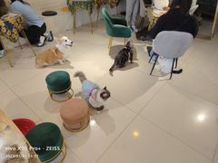 -平行世界·猫咖(首经贸店)