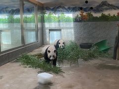 -西安秦岭野生动物园
