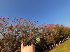 -云南滇池花园国际大酒店温泉