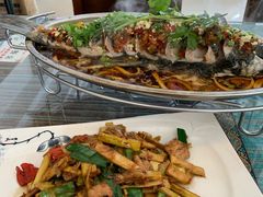 -自游人·美食一楼·地道徽菜(三十年名店)