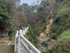 -南山植物园