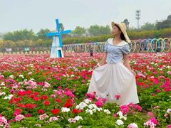 -盈香心动乐园