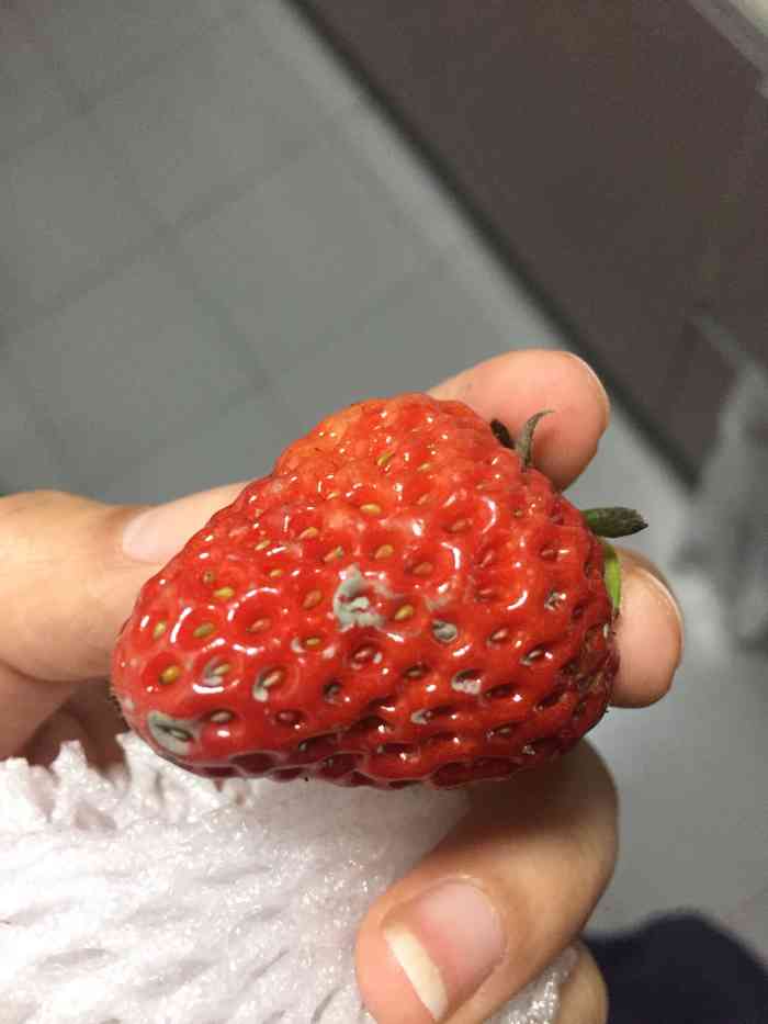 打分 发霉的草莓30几一盒.我也是醉了,把发霉的草莓放在下面.