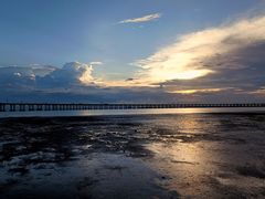 -宝安西湾红树林湿地公园