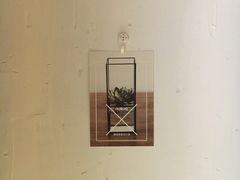 -柴务处·柴犬主题狗咖