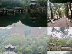 -忠山公园