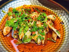 -禄婶鸡煲·打边炉
