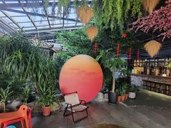 -扬之阿李菌汤火锅(1969店)