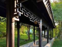 -红梅公园