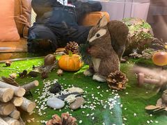 -初拾·花里餐厅(钜城华亿店)