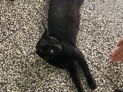 -储奇门鳝鱼火锅(总店)