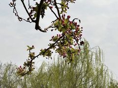 -元大都城垣遗址公园