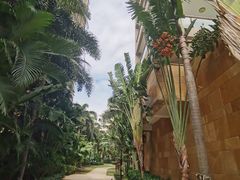 -三亚湾海居铂尔曼度假酒店