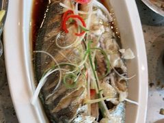 -四海蒸鲜蒸汽海鲜自助(北戴河店)