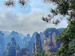 -张家界天门山国家森林公园