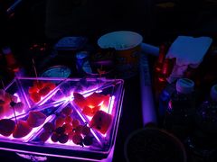 -斯卡拉演艺集团