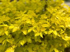 -张掖大佛寺景区