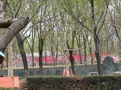 -南长河公园