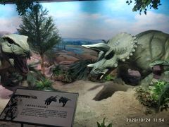 -国家自然博物馆