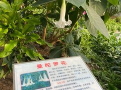 -兰陵国家农业公园