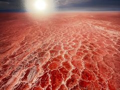 -罗红摄影艺术馆