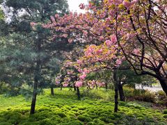 -洛阳市隋唐城遗址植物园