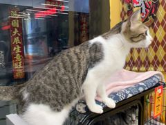 -谜盒子奇幻密室(南屏店)