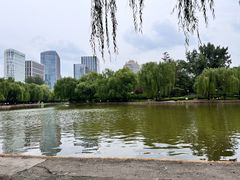 -团结湖公园