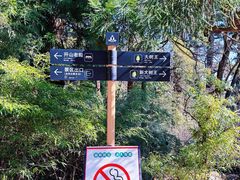 -天目山大树王景区