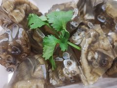 -铭聚章鱼土笋冻(松柏店)