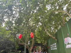 -杭州黄龙洞