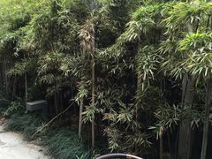 -PETIT PARIS 小巴黎(花园道店)
