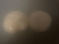 -渭塘酒家(生态园店)