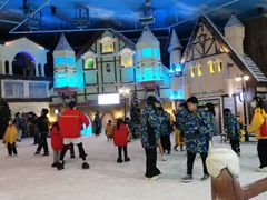-世界之窗阿尔卑斯冰雪世界