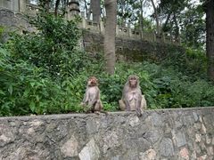 -黔灵山公园