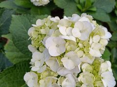 -神光山国家森林公园